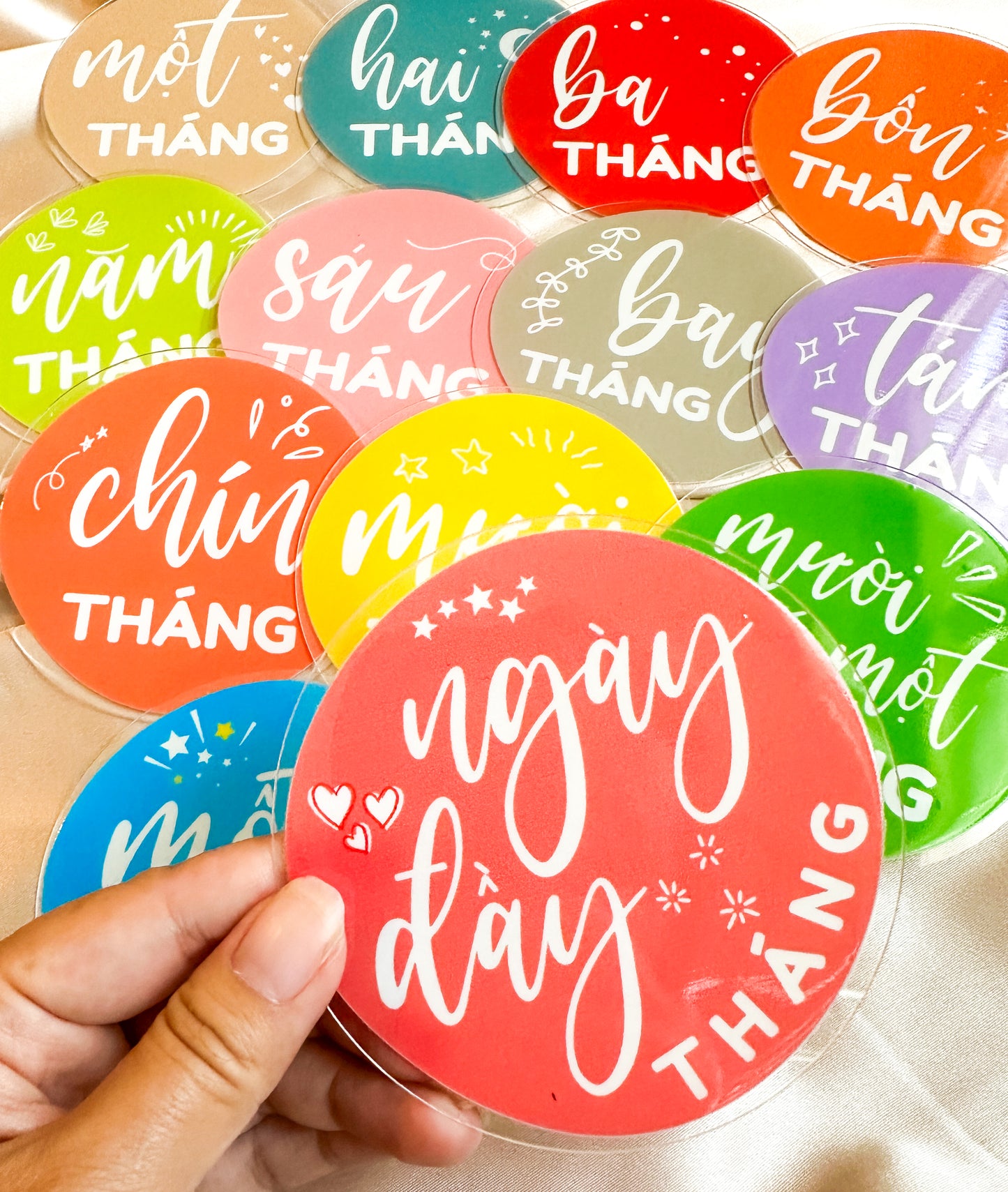 Vietnamese Baby Milestone Discs