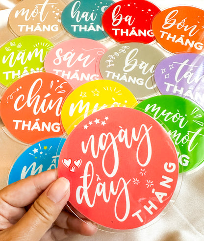 Vietnamese Baby Milestone Discs