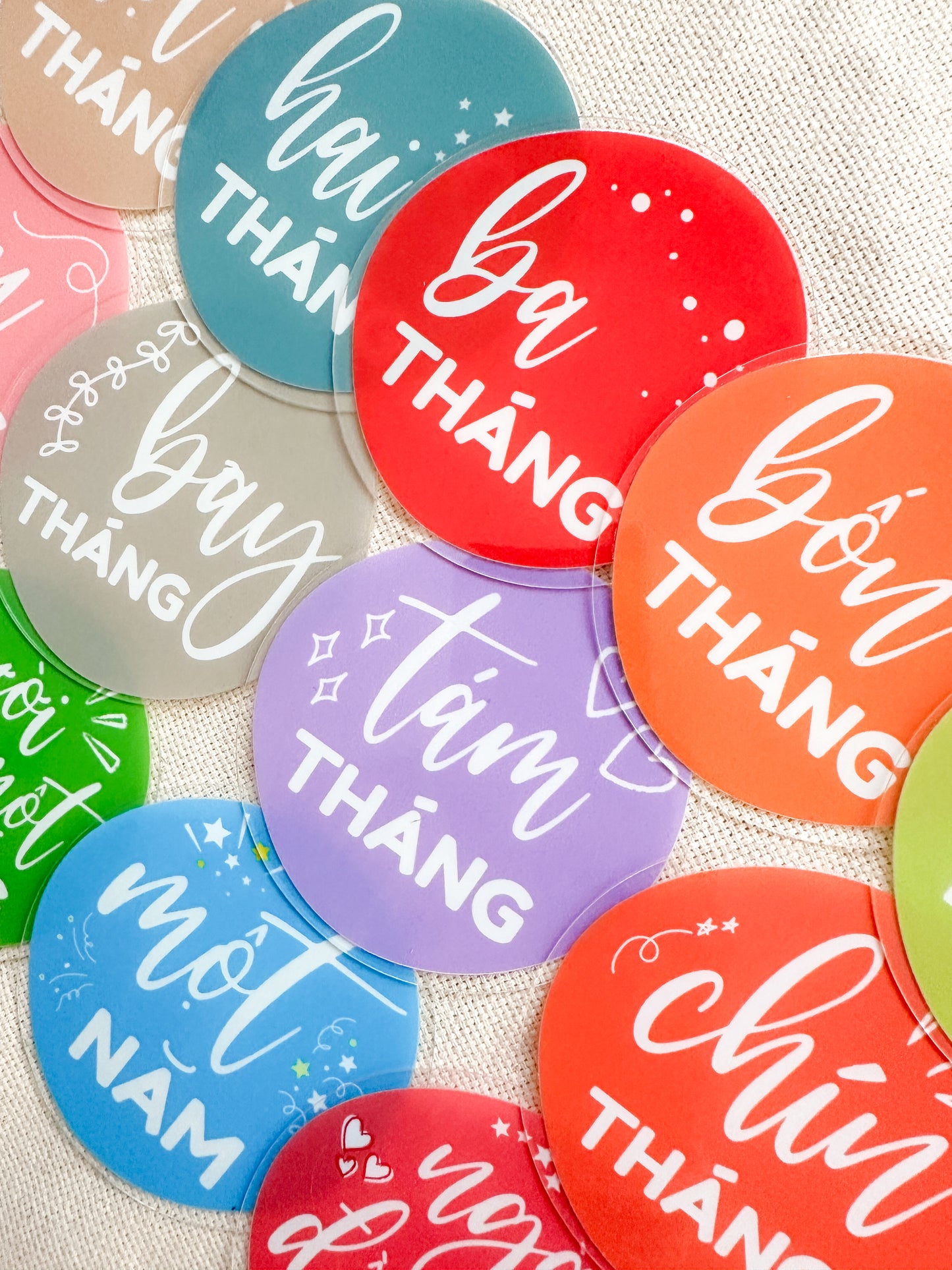 Vietnamese Baby Milestone Discs