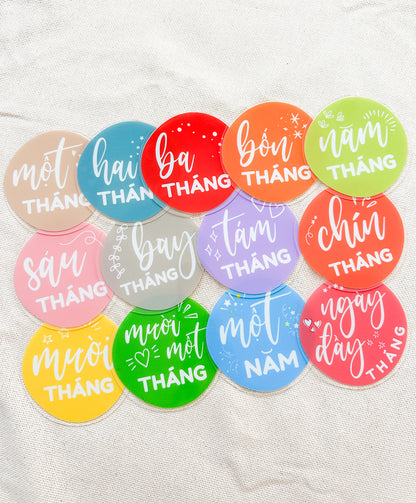 Vietnamese Baby Milestone Discs